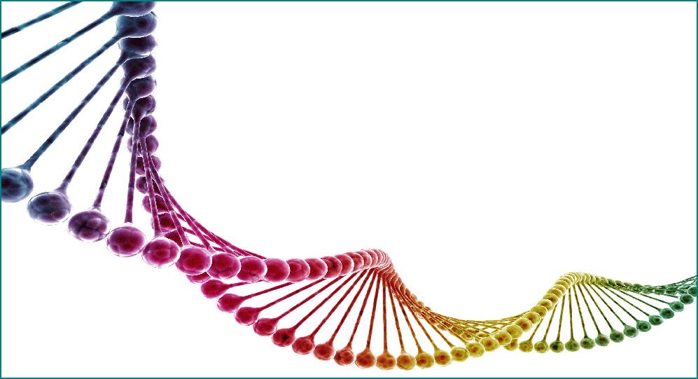 Mikroimmuntherapie